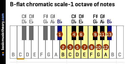 B-flat chromatic scale-1 octave of notes