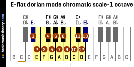 E-flat dorian mode chromatic scale-1 octave